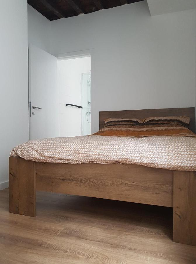 Al in den Aap gelogeerd? Appartement Mechelen Buitenkant foto
